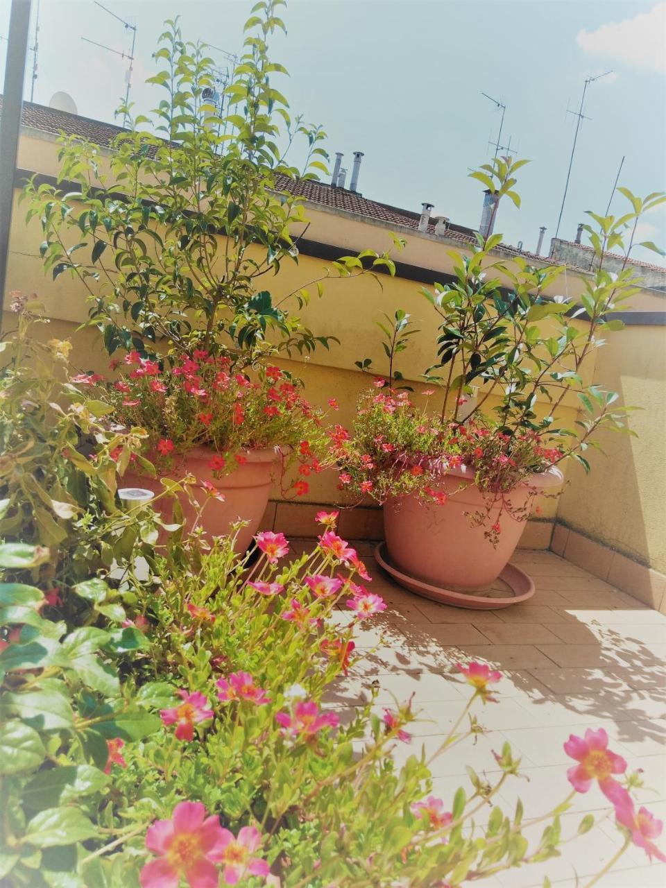 Appartamento Malu Matera Dış mekan fotoğraf